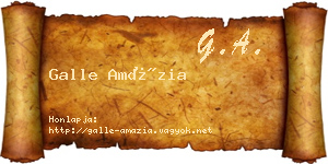 Galle Amázia névjegykártya